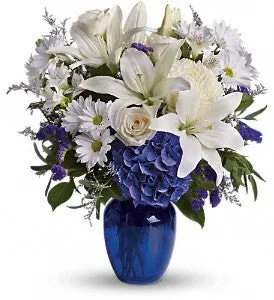 Beautiful in Blue - Deluxe