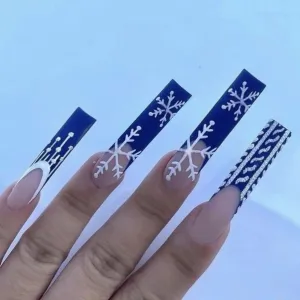 Christmas snow Coffin in french blue