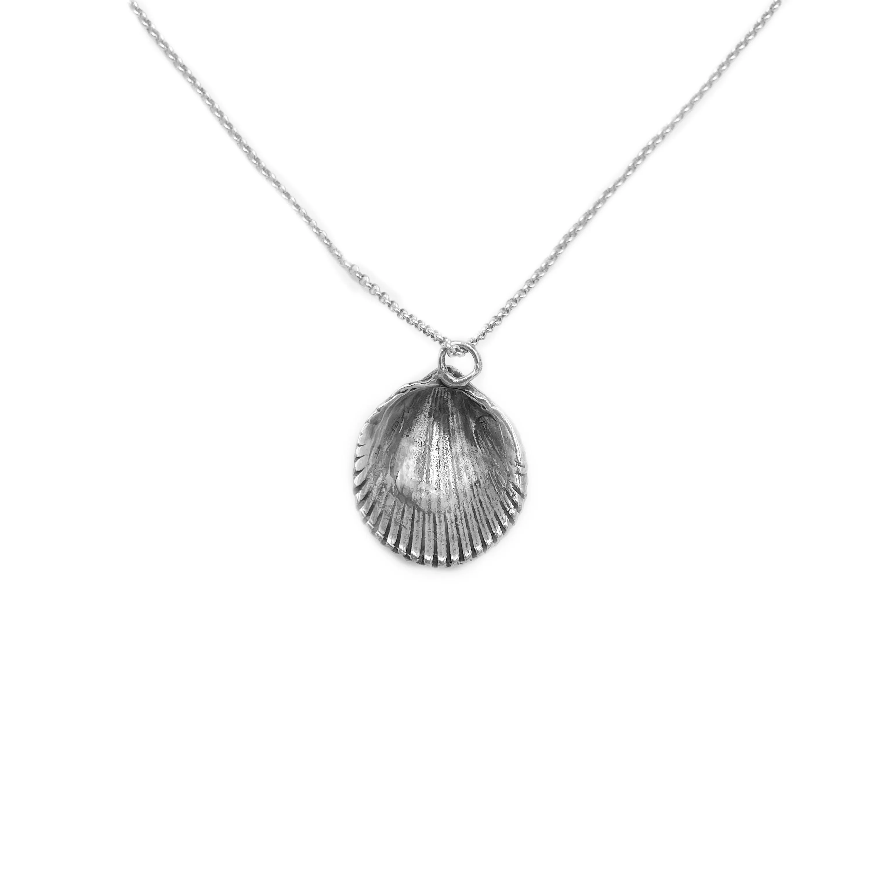 Elegant Shell Charm