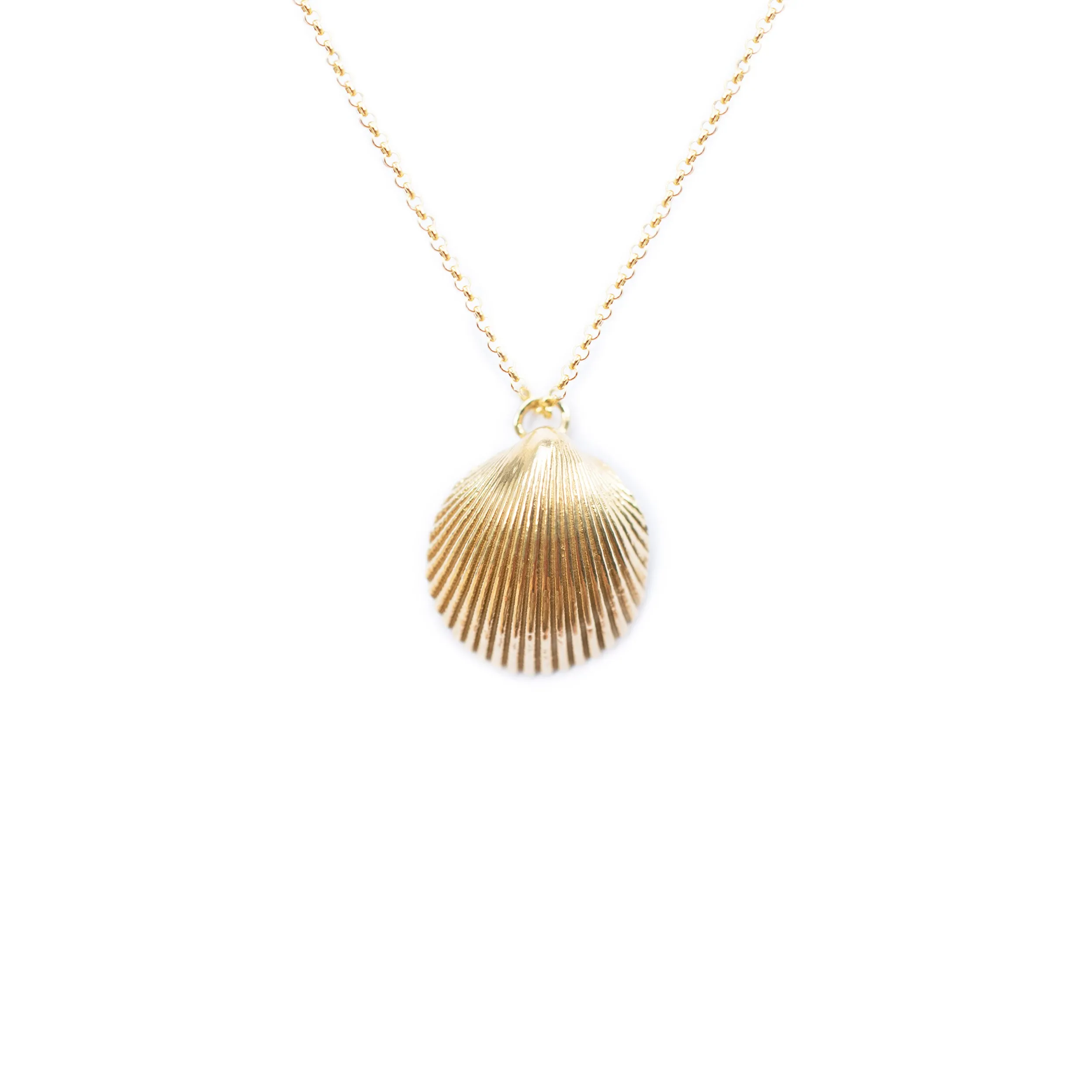 Elegant Shell Charm
