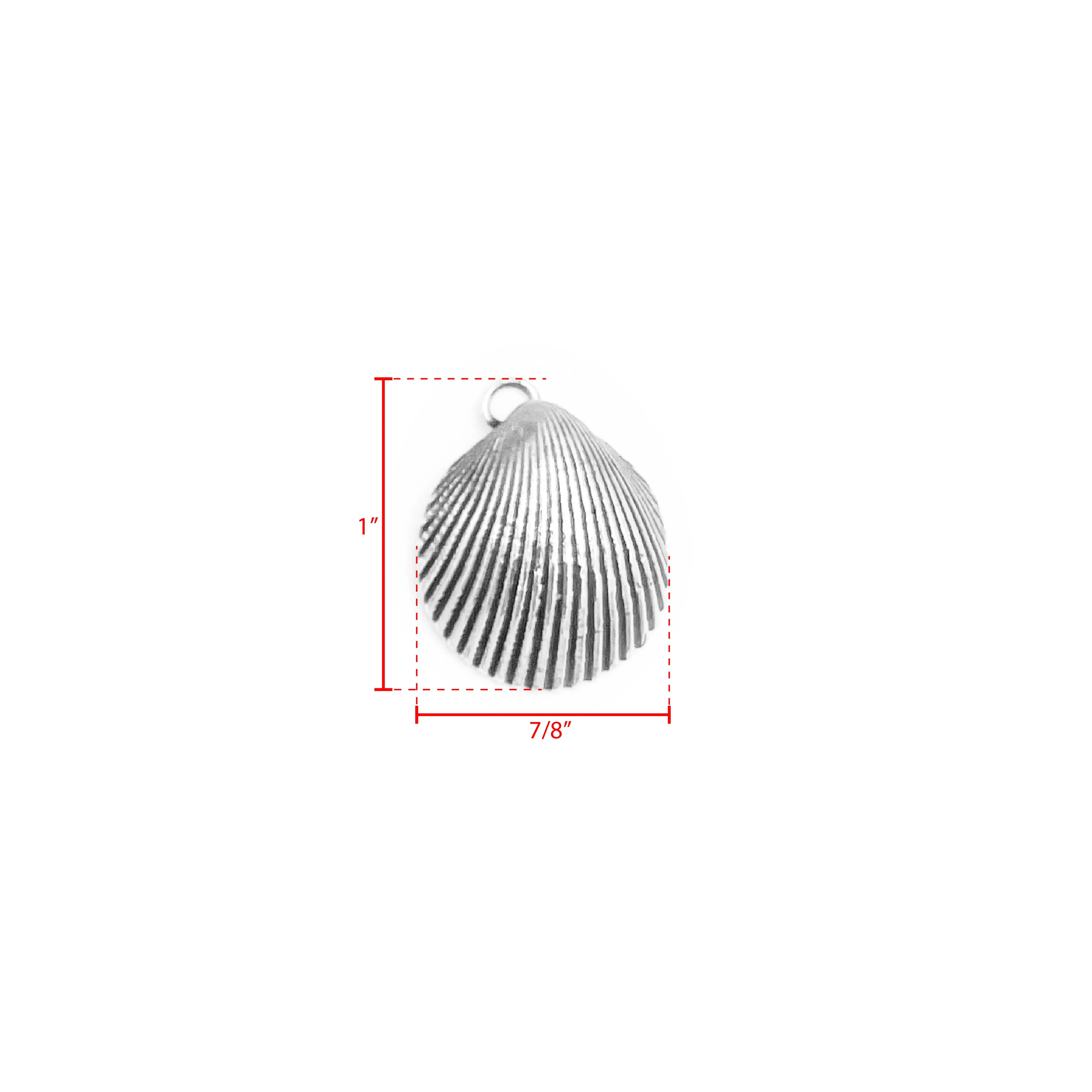 Elegant Shell Charm