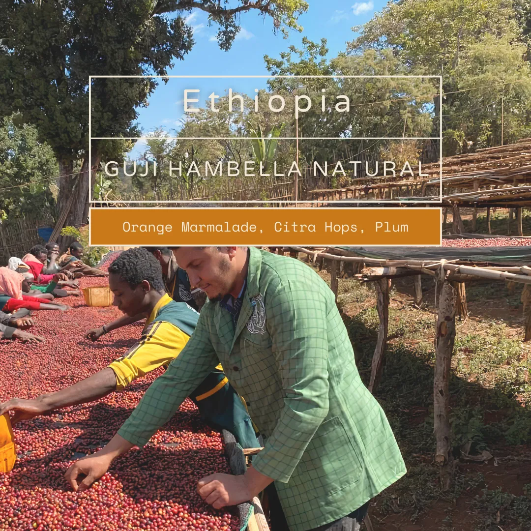 Ethiopia - Guji Hambella Natural [Espresso]