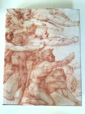 Michelangelo : Divine Draftsman and Designer