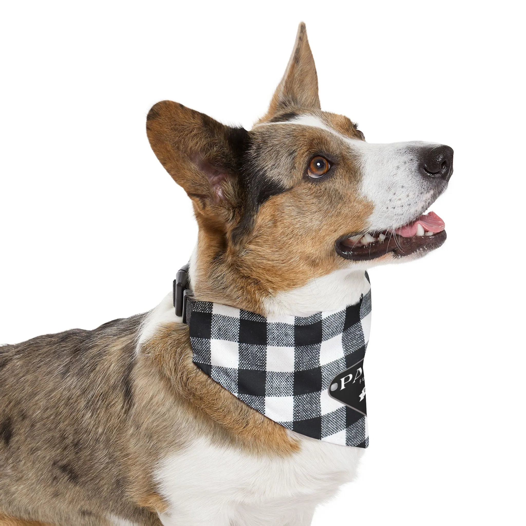 Pawda Faux-Designer Pet Bandana Collar