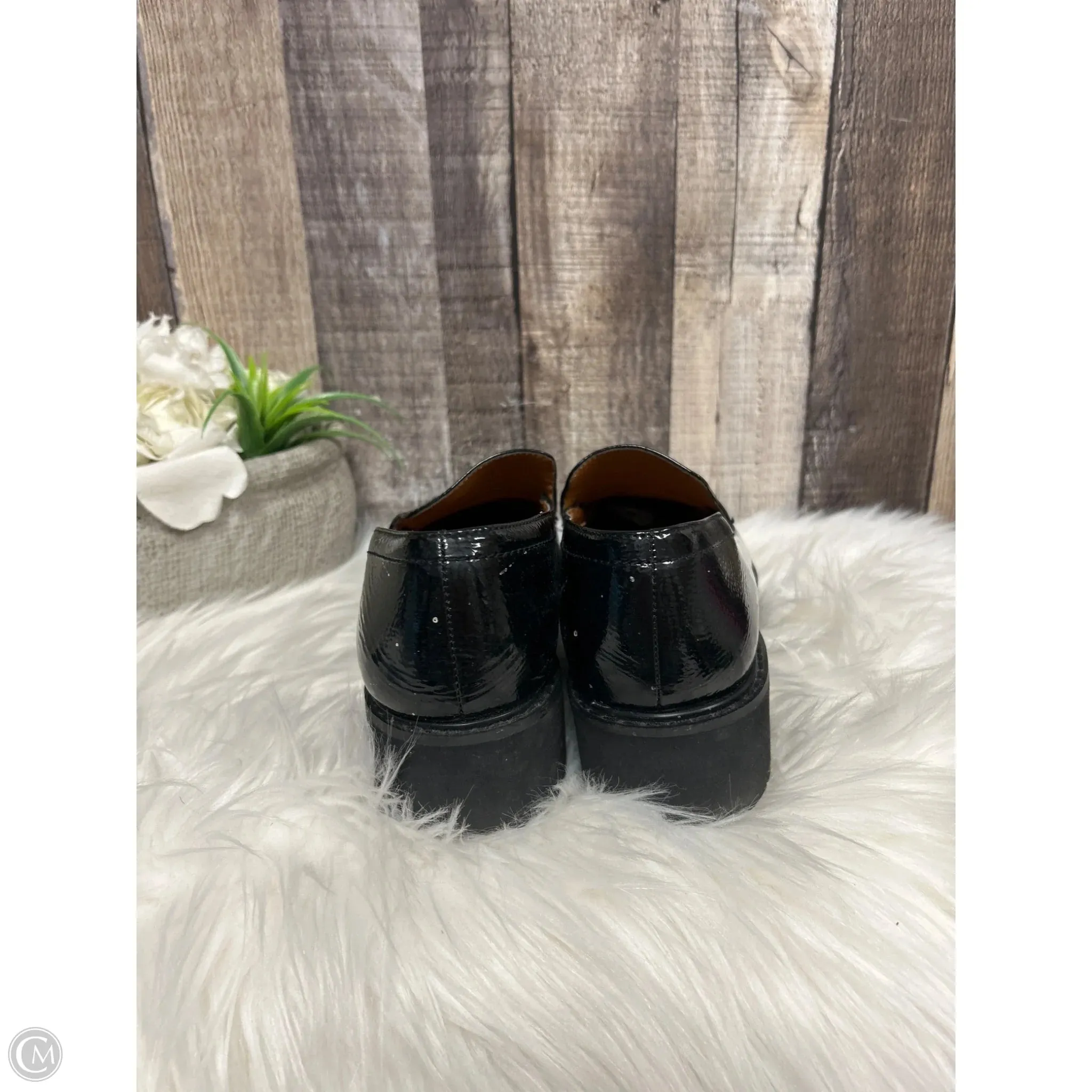 Shoes Heels Block By Franco Sarto In Black, Size: 7.5