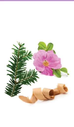 Terrashield essential oil blend