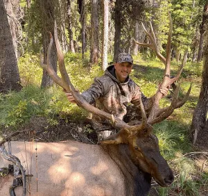 Waypoint Outfitters - General Elk/Deer Combo Hunt - 2:1 Guided